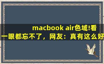 macbook air色域!看一眼都忘不了，网友：真有这么好？